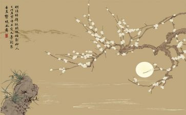 禅与蚂蚁读后感8篇