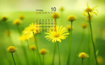 小班10月份工作计划6篇