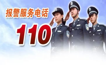 110主题党日活动总结通用5篇