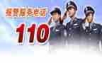 110主题党日活动总结通用5篇