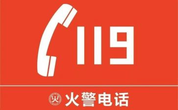 119消防日的活动总结优秀7篇