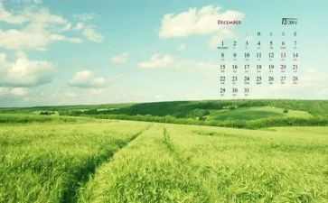12月份演讲稿5篇