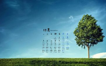 安全12月工作计划6篇