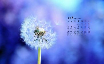 幼儿园大班12月工作总结8篇