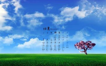 会计12月工作计划6篇