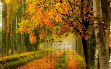 幼儿园大班12月份月计划7篇