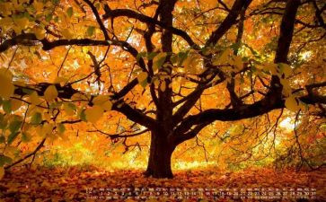 12月份小班月总结7篇