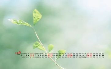 12月度工作总结通用5篇