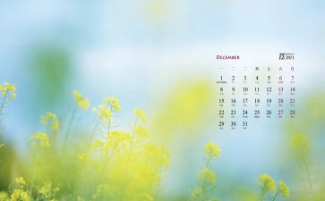 小班12月份工作计划7篇