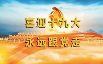 19大述职报告8篇
