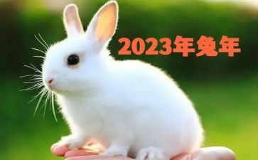 2023年小学数学国培培训总结7篇