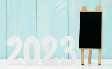 2023党支部工作年度总结报告5篇