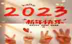 2023年新课程新教材培训总结6篇