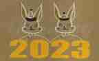 2023年美术教案优秀5篇