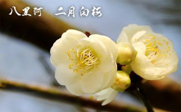 中班2月份工作计划7篇