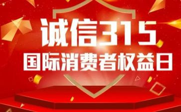 315检查整改报告模板8篇
