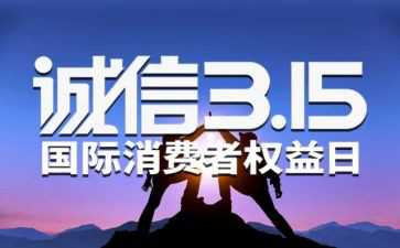 315总结报告5篇