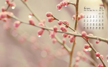4月份的工作计划8篇