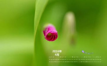 4月份的工作计划优秀7篇