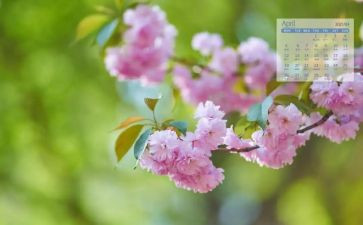 幼儿园小班教师4月份工作总结7篇