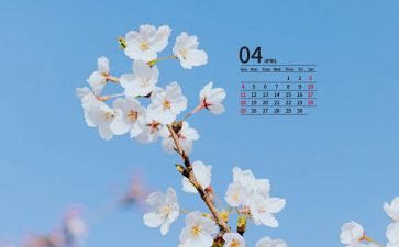 小班4月份工作计划6篇