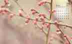 幼儿园小班4月份工作计划8篇