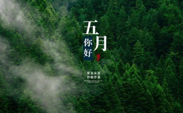 中班幼儿5月份工作计划6篇