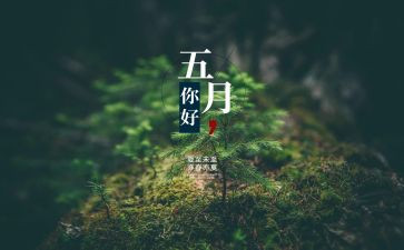 2022年中班5月工作计划7篇