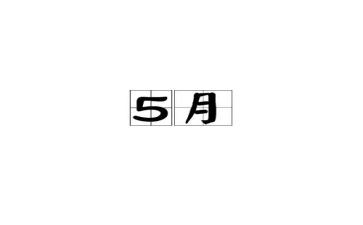 2024年5月工作总结精选6篇