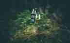 幼儿园小班教师5月份工作总结8篇