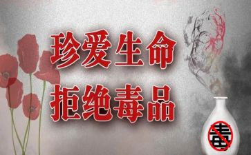 学校626禁毒活动总结8篇
