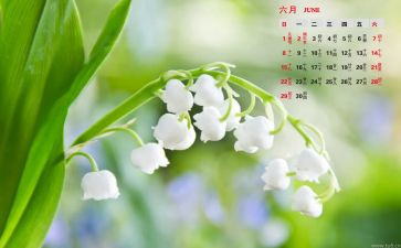 6月活动方案范文8篇