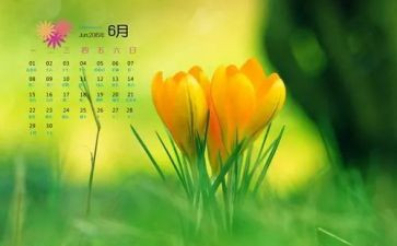 6月工作计划范文6篇