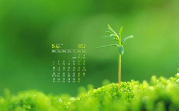 6月安全生产总结报告8篇