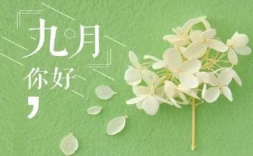 幼儿园20249月工作总结精选5篇