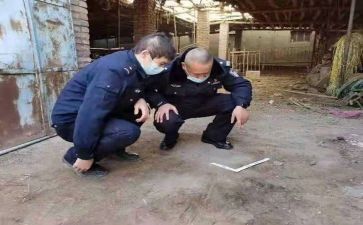 健康档案管理工作计划6篇