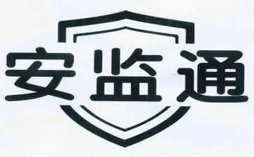 乡安监站个人总结6篇