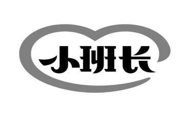 2024班长半年工作总结7篇