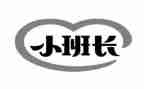 2024班长半年工作总结7篇
