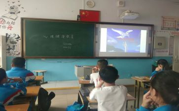 班主任班会课心得体会7篇