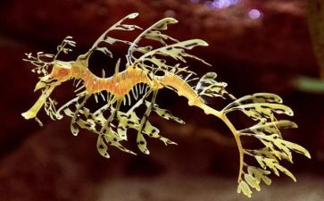 生物听课心得体会6篇