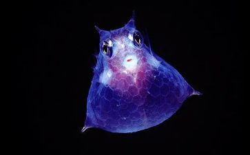 微生物室安全自查报告6篇