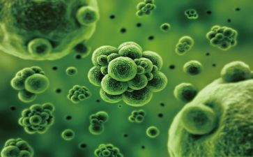 生物化学实验的心得体会6篇