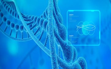 高二下学期生物教师工作计划6篇