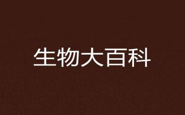 高二生物教师个人工作计划6篇
