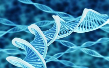 微生物室的自查报告7篇