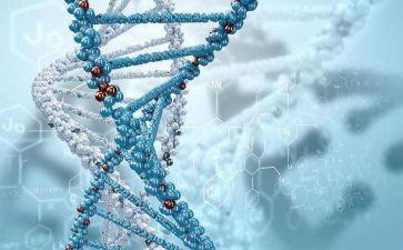 生物备课组工作总结5篇