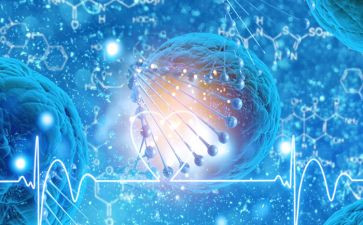 生物八上教学工作总结8篇