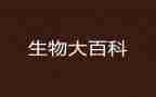 高二生物教师个人工作计划6篇