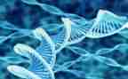 微生物室的自查报告7篇